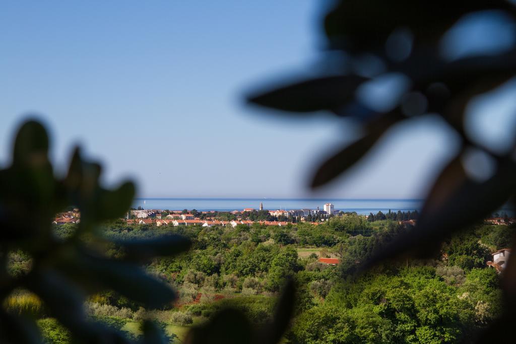 Hotel Arte Casa Murine Ruang foto